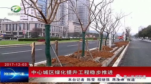 我市中心城区园林绿化提升工程稳步推进